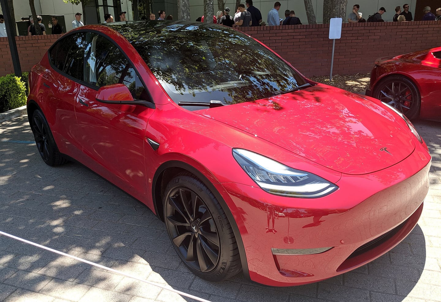Tesla Model Y Standard — фото 2